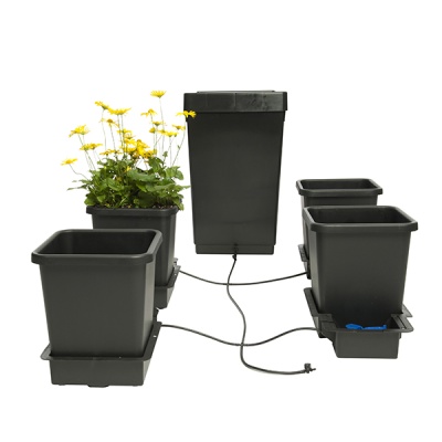 Sistema automático de rega com vasos quadrados pretos e flores amarelas