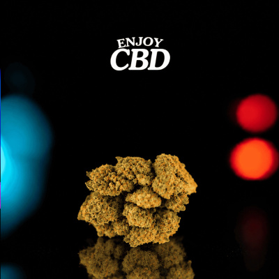 Ramo de flor de CBD amarela esverdeada sobre superfície preta com fundo escuro e texto ENJOY CBD
