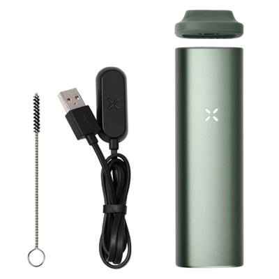 Vaporizador portátil verde metálico, carregador USB preto e escova de limpeza