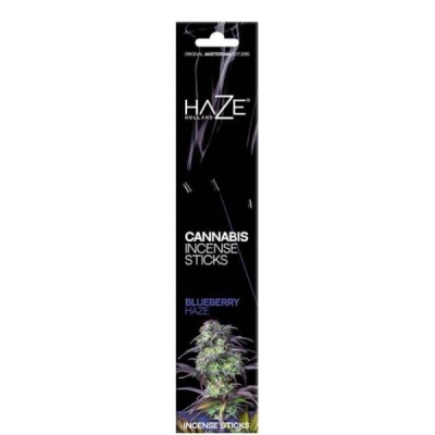 Embalagem preta de sticks de incenso cannabis Blueberry Haze da marca Haze Holland
