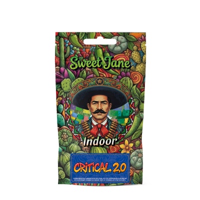 Embalagem decorativa com ilustração de homem mexicano e texto Sweet Jane Indoor Critical 2.0