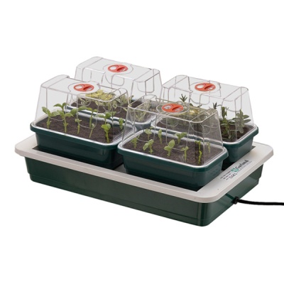 Mini estufa de plástico verde com plantas jovens e tampas transparentes sobre base elétrica