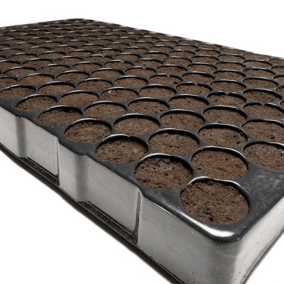Tabuleiro preto com terra para germinação em múltiplos compartimentos