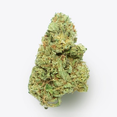Cálice de cannabis verde e alaranjado sobre fundo branco
