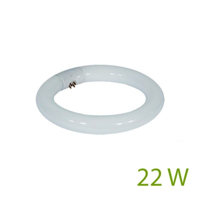 Lâmpada circular fluorescente branca 22 W com três pinos na base