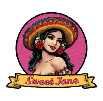 Mulher com chapéu mexicano e texto Sweet Jane em fundo rosa