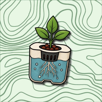 Ilustração animada de planta crescendo em sistema hidropónico com raízes submersas.