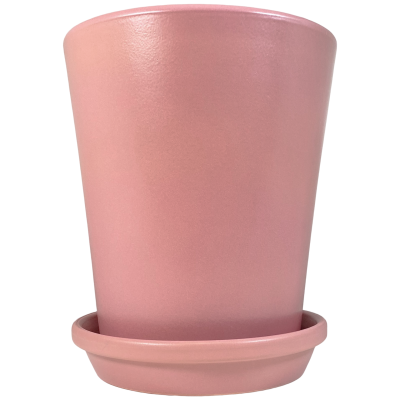 Vaso de planta rosa com prato de apoio