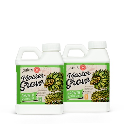 Duas garrafas de plástico branco com rótulos verdes de Master Grow Growth Accelerator Part A e Part B
