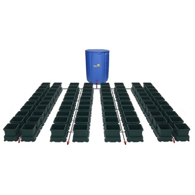 Sistema de cultivo com vasos quadrados pretos e reservatório azul com texto Flexi