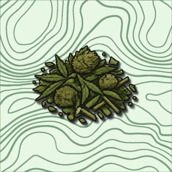 Animação gráfica de planta verde num fundo com linhas onduladas.