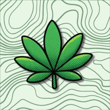 Folha de cannabis verde em fundo claro com linhas curvas verdes