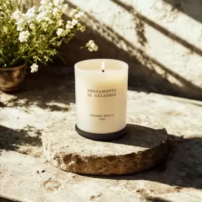 Vela branca com texto sobre base de pedra com planta ao fundo