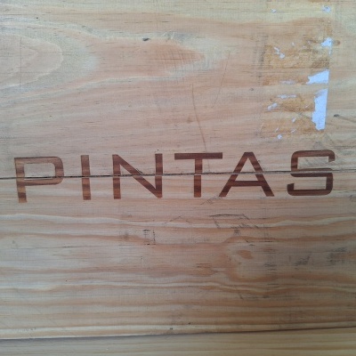Caixa de madeira com texto PINTAS em relevo