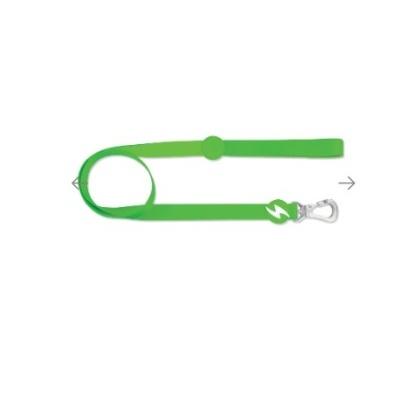 Trela para cão verde com fecho metálico