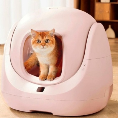 Caixa de areia fechada cor de rosa para gatos com gato dentro