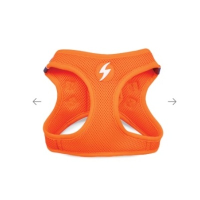 Peitoral para animal de estimação laranja com símbolo branco em forma de raio