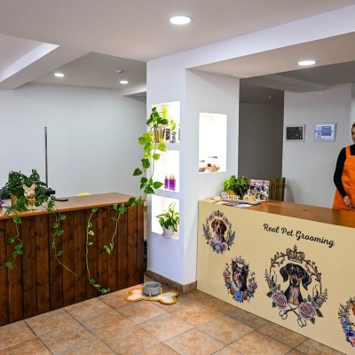 Receção de salão de grooming para animais com balcões decorados e pessoa de avental