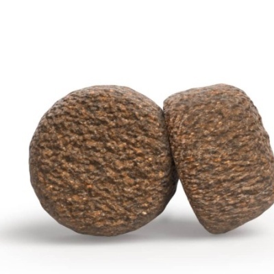 Dois comprimidos redondos castanhos com textura rugosa sobre superfície branca