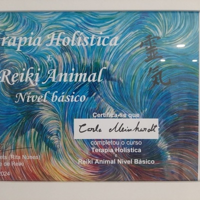 Reiki diploma