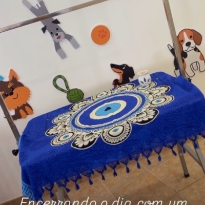 Mesa de massagem com tecido azul e decoração de cães na parede