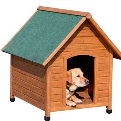 Casota de madeira com teto verde e cão na entrada