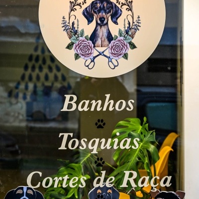 Adesivo circular com cão coroado e texto Real Pet Grooming numa montra com serviços de grooming para cães e figuras de cães