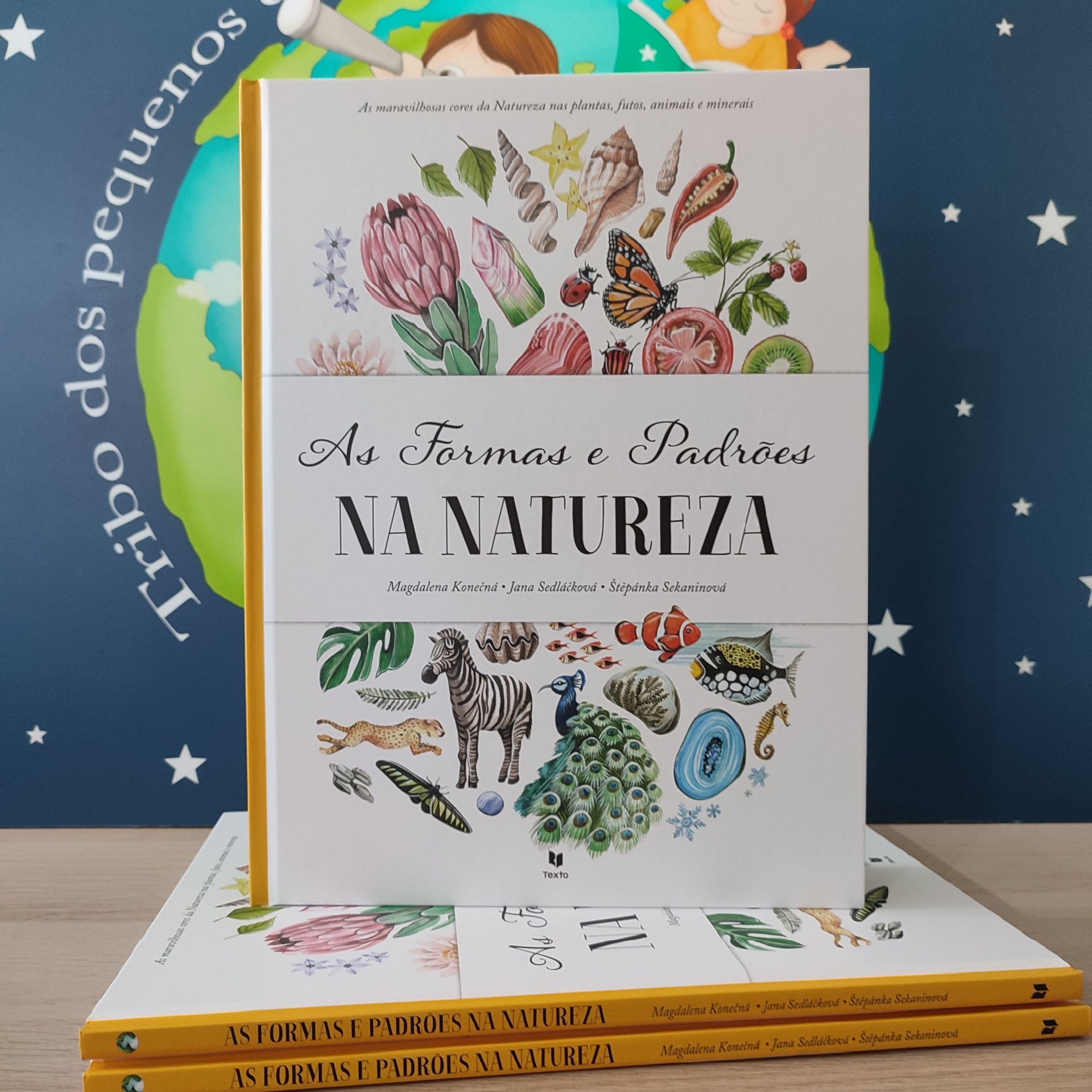 Livro infantil formas e padr&otilde;es na natureza da texto editora