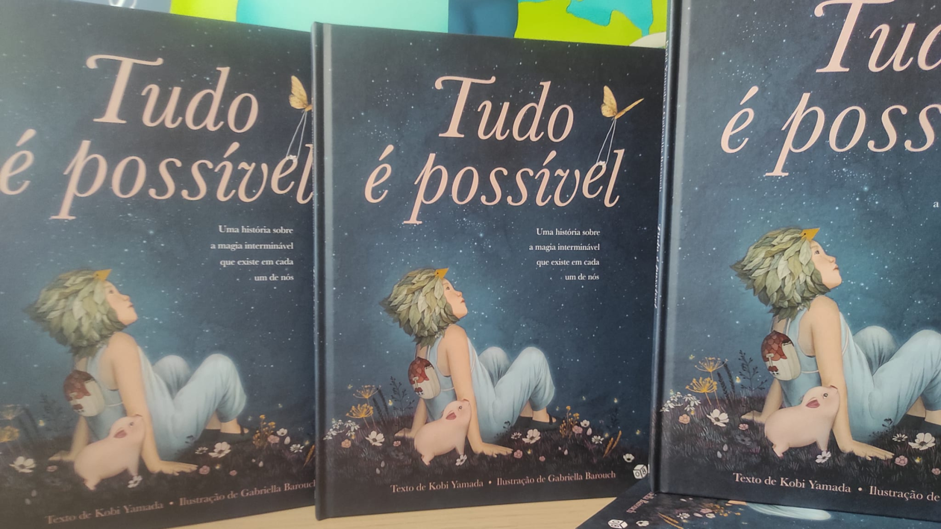 Capa de livro infantil azul escura com ilustração de criança sorridente sentada entre flores e texto 'Tudo é possível'.