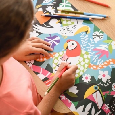 Criança a colorir desenho de pássaros tropicais coloridos com lápis de cor