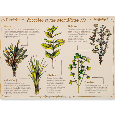 Quadro informativo sobre ervas aromáticas com ilustrações e texto em português europeu