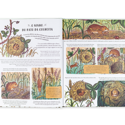 Livro ilustrado aberto mostrando ratos e plantas com texto em português