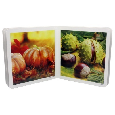 Álbum de fotografia aberto com imagens de outono