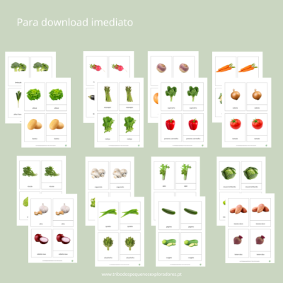 Fichas ilustradas de vários vegetais com nomes em português para download imediato.