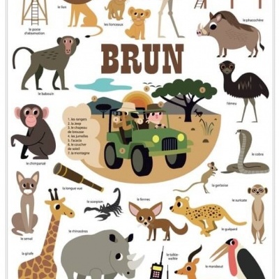 Desenho animado de animais da savana e elementos de safári com textos em francês.