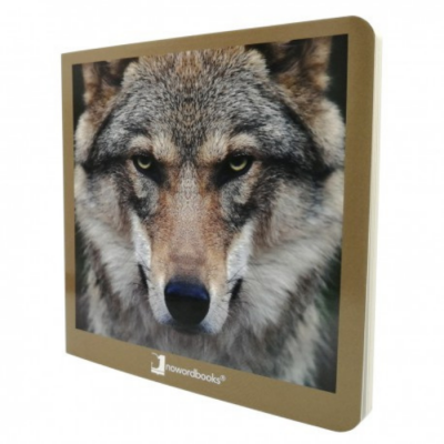 Caixa de madeira com tampa decorada com foto de lobo