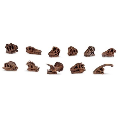 Miniaturas de crânios de dinossauros castanhos sobre fundo branco