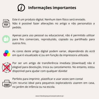 Informações importantes sobre produto digital com texto e ícones coloridos