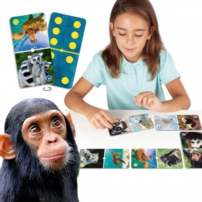 Menina a jogar com cartas de animais e cartas numeradas azuis