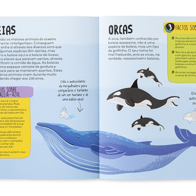 Páginas abertas de livro ilustrado sobre baleias e orcas com textos e ilustrações coloridas.