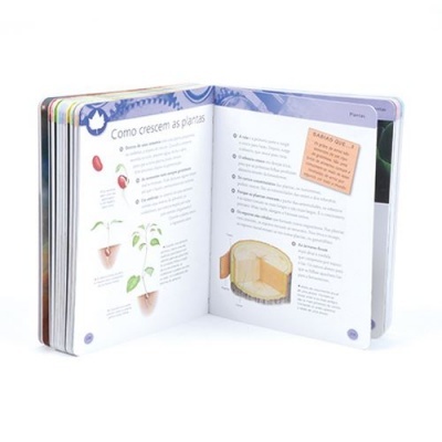 Livro infantil aberto sobre crescimento das plantas
