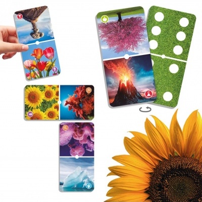 Cartas de jogo com imagens naturais e dominós em fundo branco com girassol.