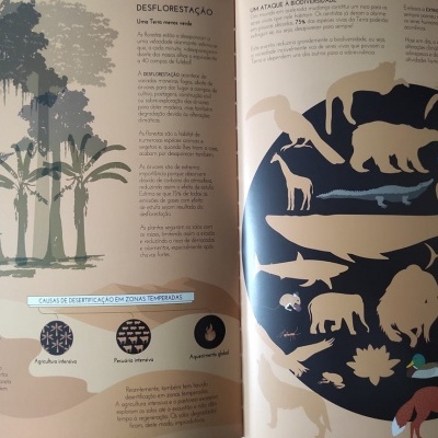 Livro ou revista aberto com ilustrações de árvores, texto sobre desflorestação e silhuetas de animais