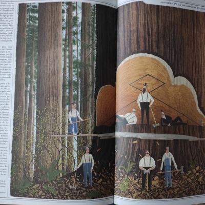 Ilustração de homens a cortar árvore em livro aberto com texto em português