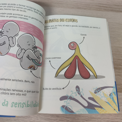 Página de livro infantil com ilustrações anatómicas do clítoris e fetos, numa mesa de madeira clara.