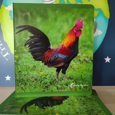 Capa de livro infantil com imagem de galo colorido em fundo verde.