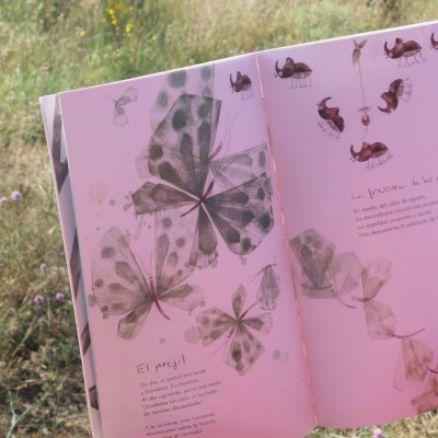 Folheto ou livro aberto com desenhos de borboletas e escorpiões em fundo rosa na natureza.