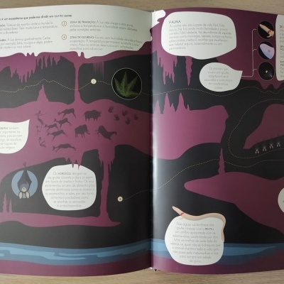 Páginas abertas de livro ilustrado sobre cavernas com texto em português