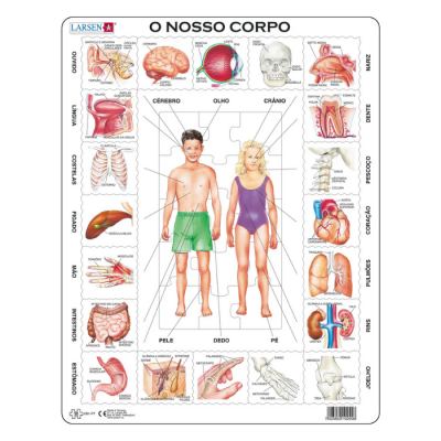 Quebra-cabeças educativo do corpo humano para crianças