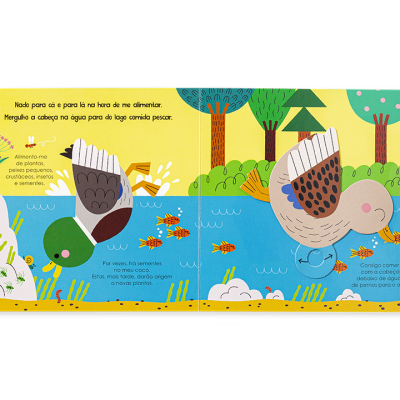 Livro ilustrado infantil com patos a nadar em lago colorido